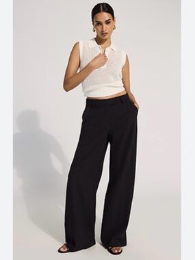 NWT Express Editor wide leg pants